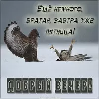 Вечер четверга картинка прикольная