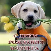 Веселая открытка с днем рождения коллеге