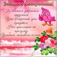 Веселого воскресного дня картинка
