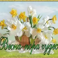 Открытка с нарциссами — весна, пора чудес