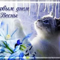 Картинка с котёнком и сосульками — с первым днём весны
