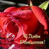 Вип открытка с днем рождения