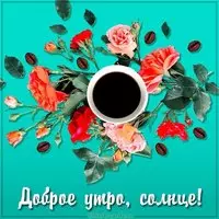 Виртуальная картинка доброе утро солнце
