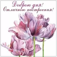 Виртуальная картинка доброго дня и отличного настроения