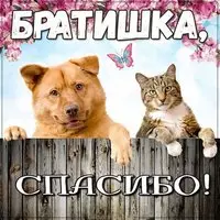Виртуальная картинка спасибо братишка