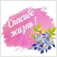 Виртуальная картинка спасибо жизнь