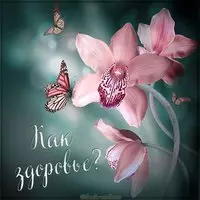 Виртуальная открытка как здоровье