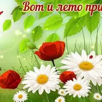 Картинка со стрекозой и маками — вот и лето пришло