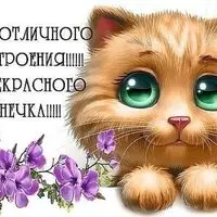 Картинка с рыжим котёнком — всем отличного настроения