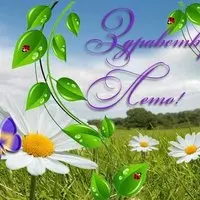 Открытка с ромашкой — здравствуй, лето