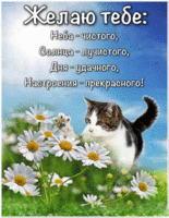Желаю тебе прекрасного настроения