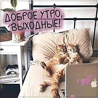 Зимняя картинка доброе утро хороших выходных красивая