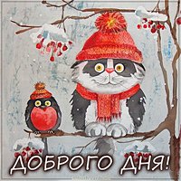Зимняя картинка доброго дня прикольная смешная