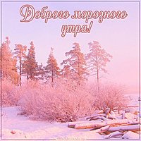 Зимняя картинка доброго морозного утра красивая