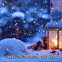 Зимняя картинка спокойной ночи красивая необычная девушке
