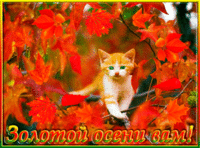 Золотой осени вам