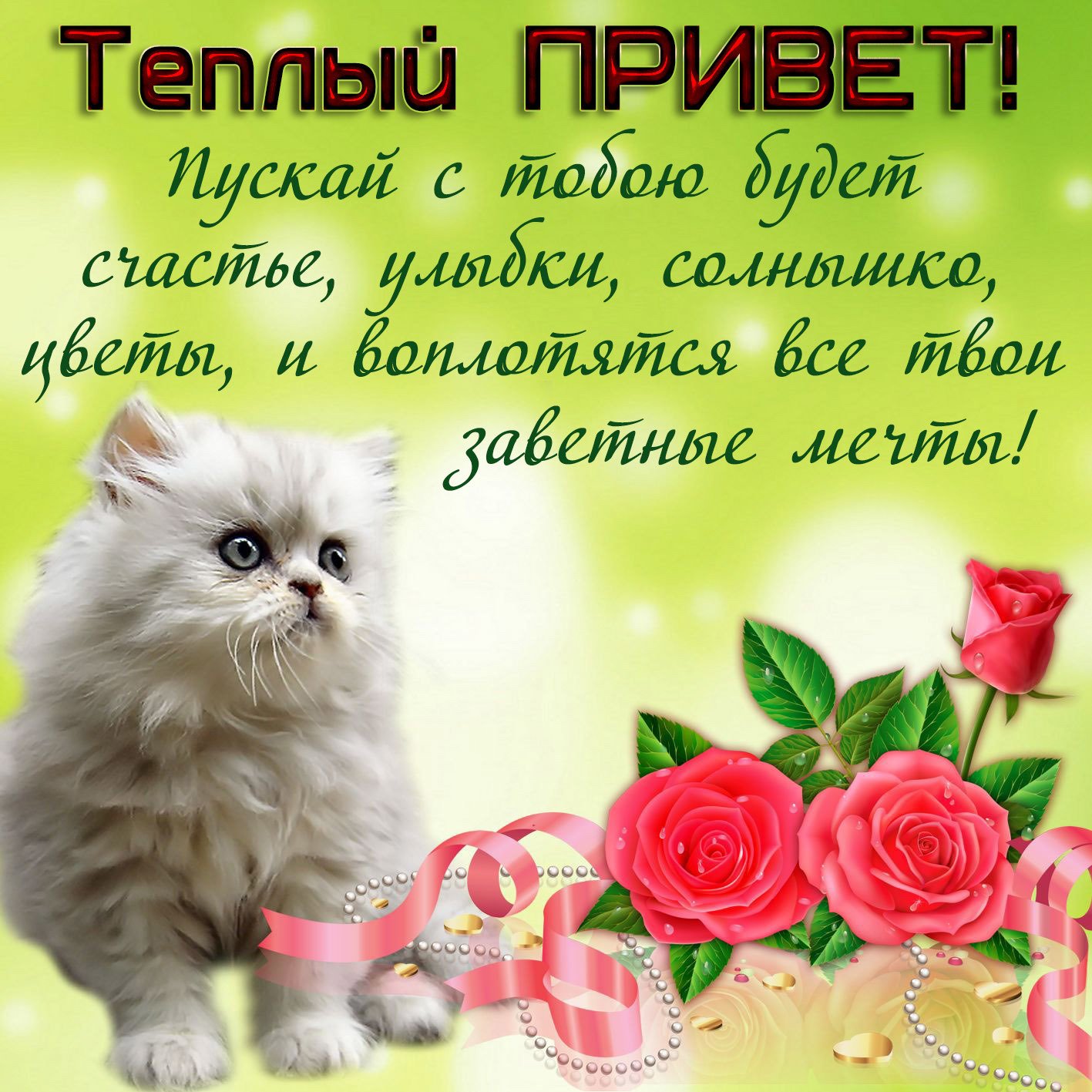 Тёплый привет