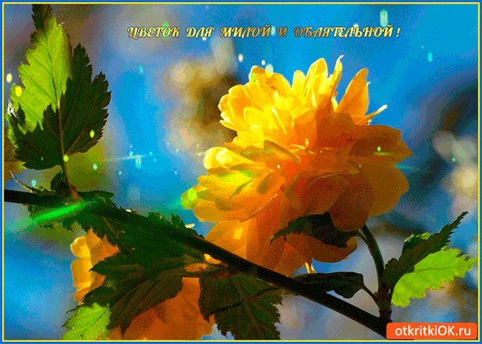 Цветок для милой и обаятельной