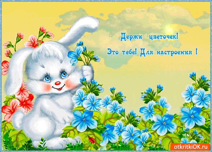Цветок тебе для настроения