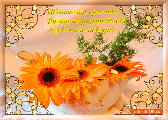 Цветы это красота