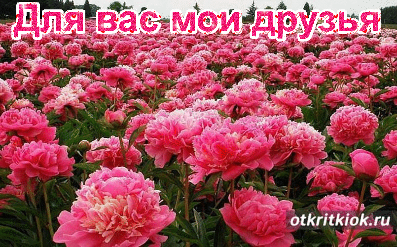 Цветы с любовью