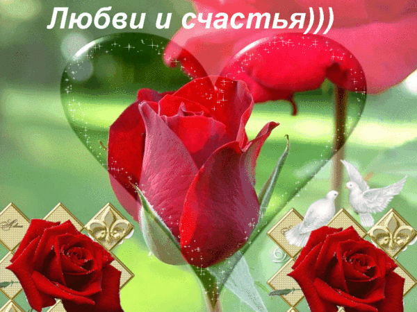 Цветы сегодня для тебя