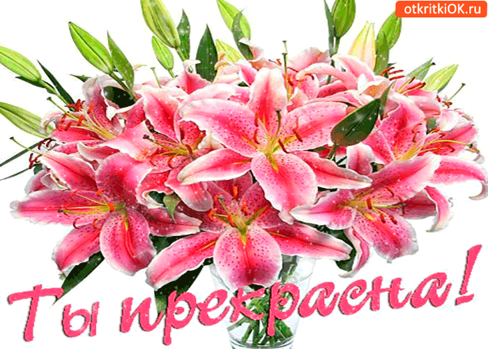 Ты прекрасна словно лилия