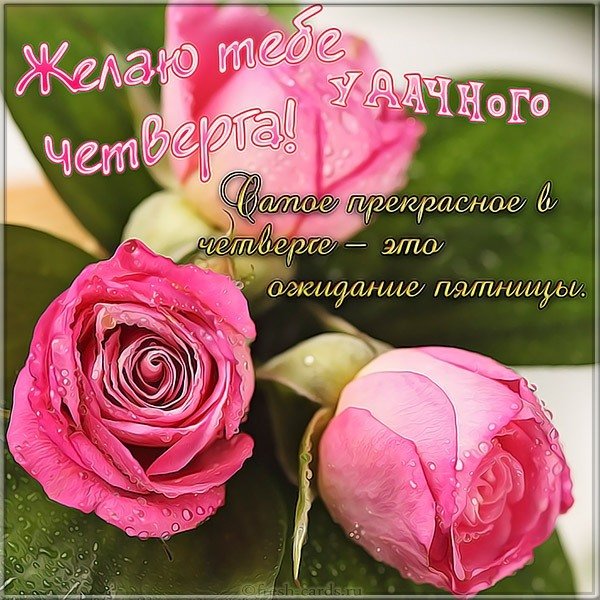 Удачного четверга картинка прикольная