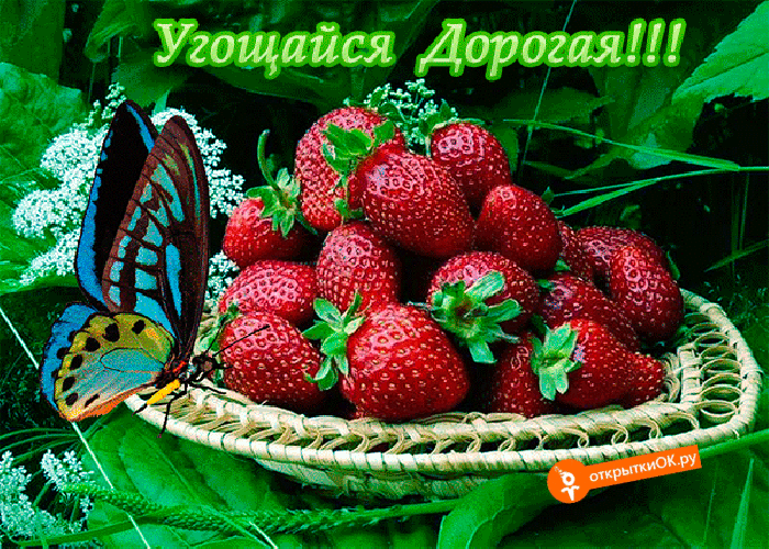 Угощайся дорогая