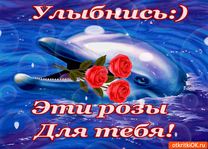 Улыбнись! Эти розы для тебя