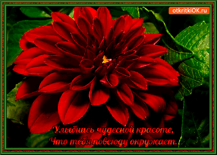 Улыбнись красоте что тебя окружает