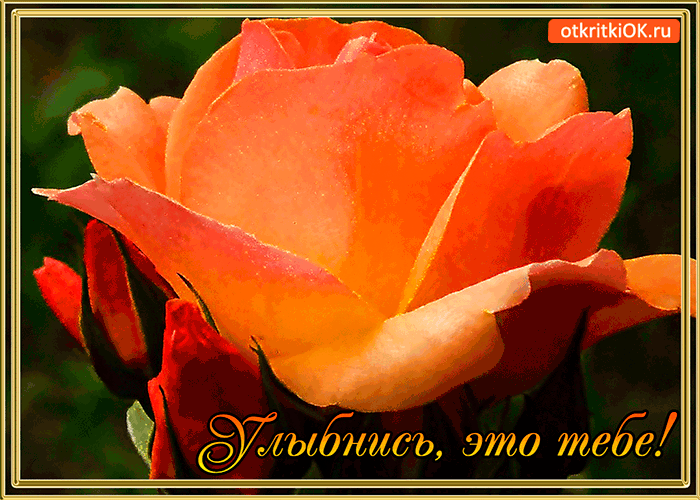 Улыбнись цветок тебе