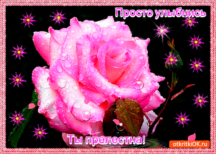 Улыбнись ты прелестна Улыбнись ты прелестна