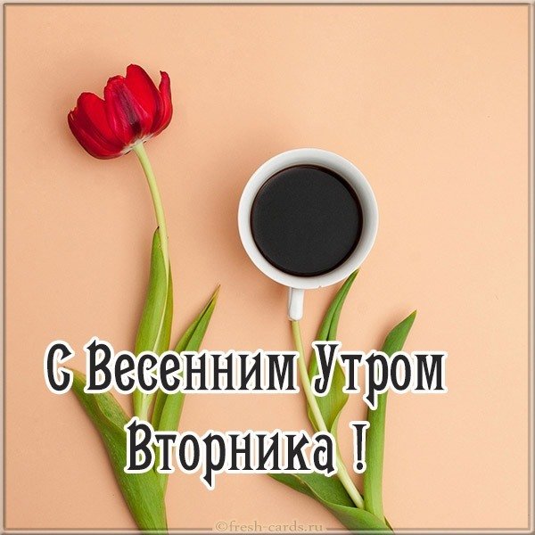 Утро вторника картинка прикольная