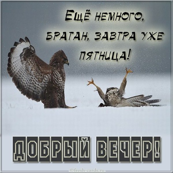 Вечер четверга картинка прикольная