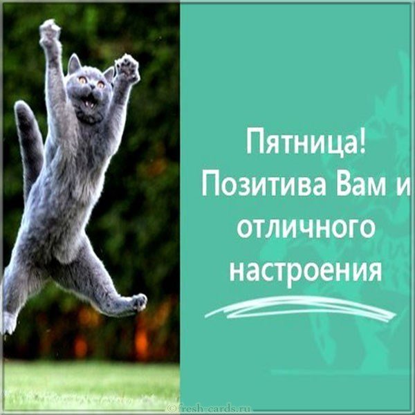 Веселая картинка с пятницей