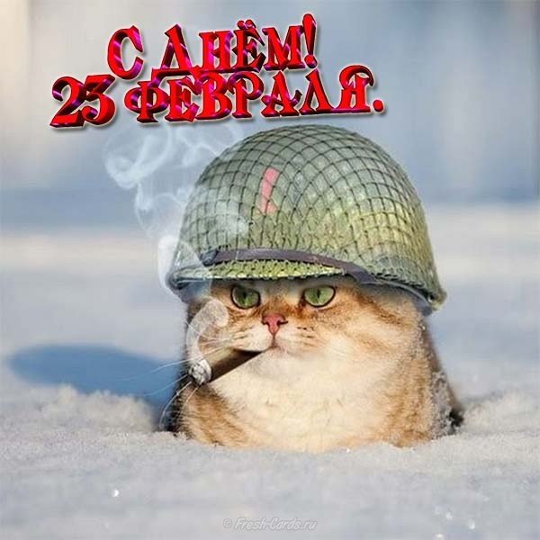 Веселая открытка 23