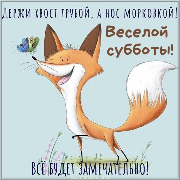 Веселой субботы картинка прикольная