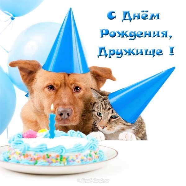 Весёлая открытка с днём рождения другу