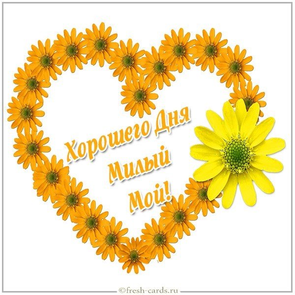 Виртуальная картинка милому хорошего дня