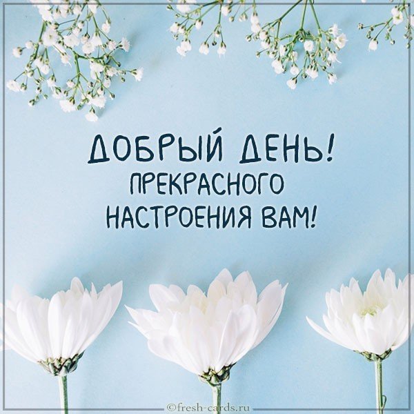 Виртуальная открытка добрый день прекрасного настроения вам