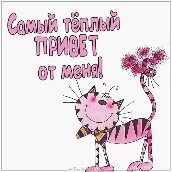 Виртуальная открытка привет