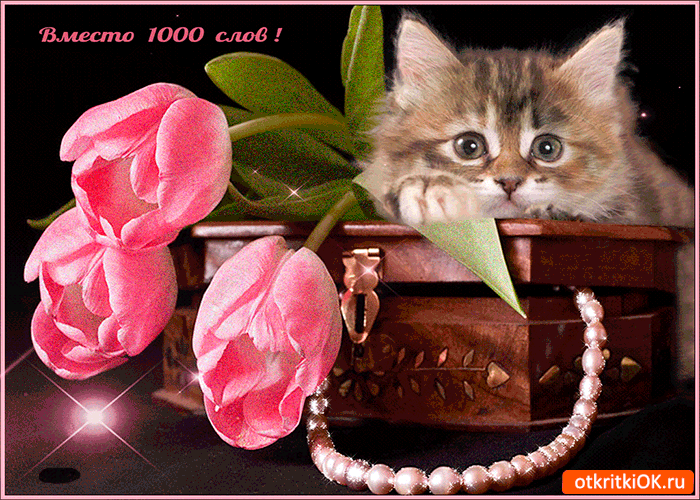 Вместо 1000 слов тюльпаны дарю