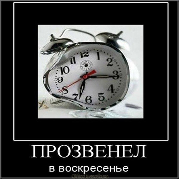 Воскресенье смешная картинка