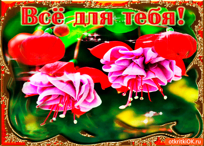 Всё это для тебя