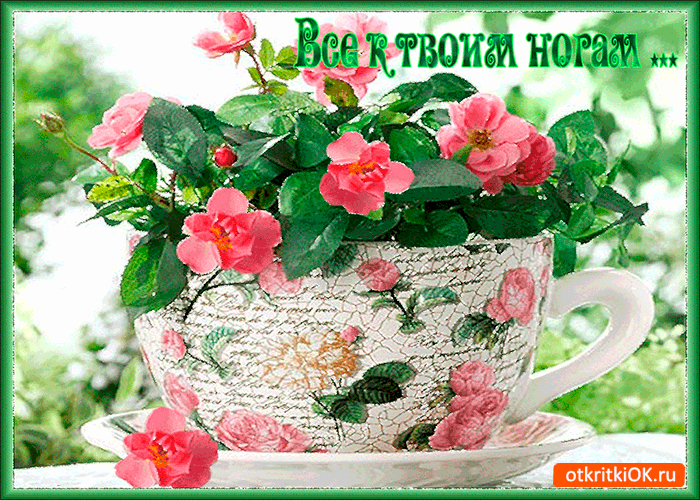 Всё к твоим ногам преподнесу