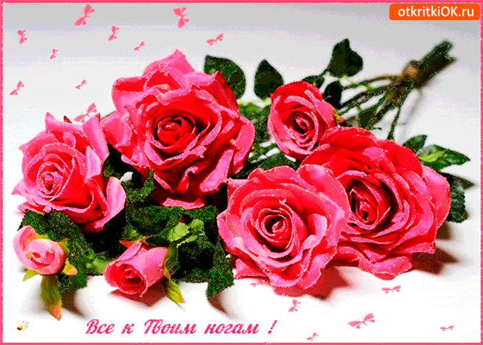 Все розы к твоим ногам Все розы к твоим ногам