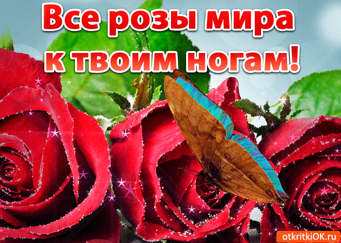 Все розы мира к твоим ногам