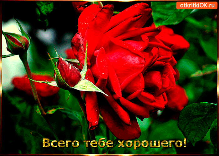 Всего тебе от меня хорошего