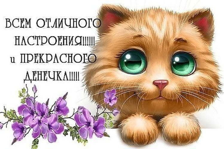 Всем отличного настроения